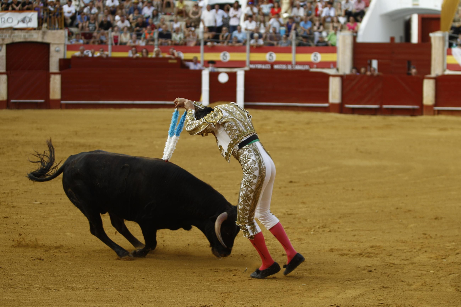 Las mejores imágenes de la clase práctica de la Escuela Municipal Taurina de Almería