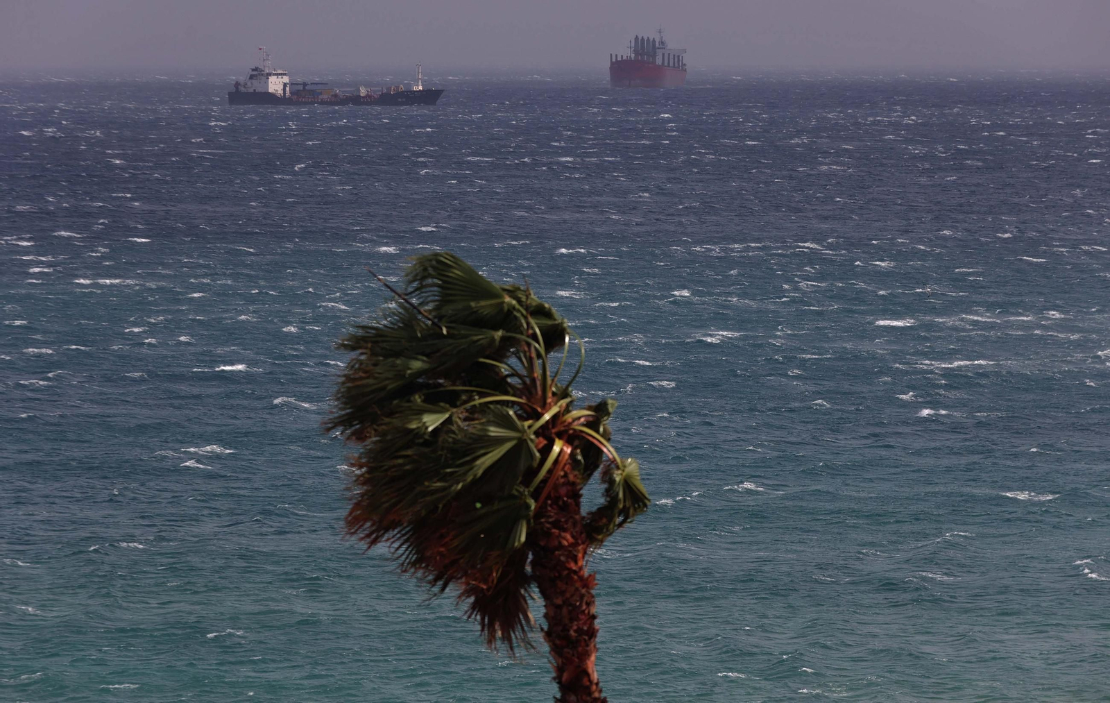 Fotos de los efectos de la borrasca Herminia en Algeciras
