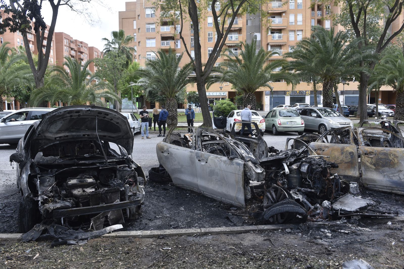La resistencia en las calles de Sevilla Este y La puebla del Río: corazón de Sevilla y puerta de Doñana