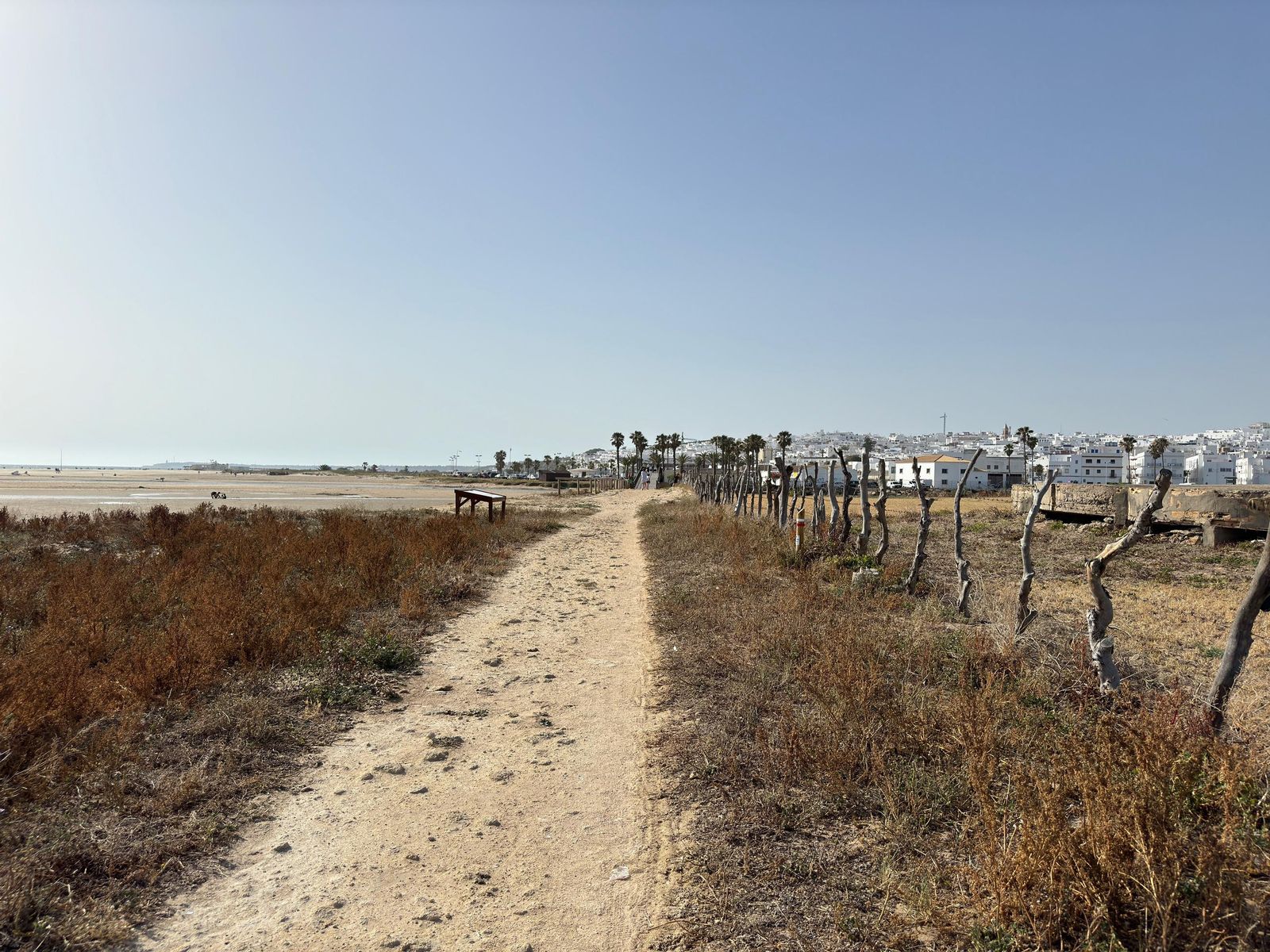 Un sendero costero llega hasta Conil.