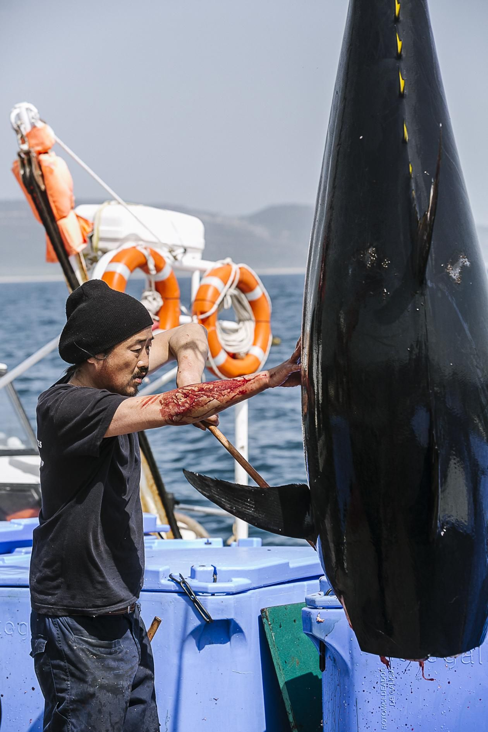 Imágenes de la primera levantá del año