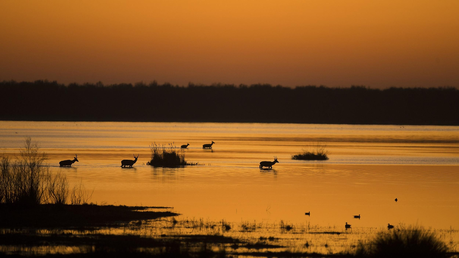 Día Mundial de Agua 2022