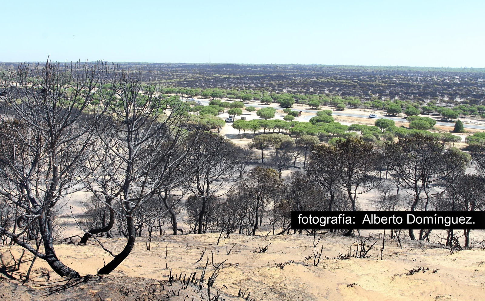 Imágenes de Cuesta Maneli tras el incendio.