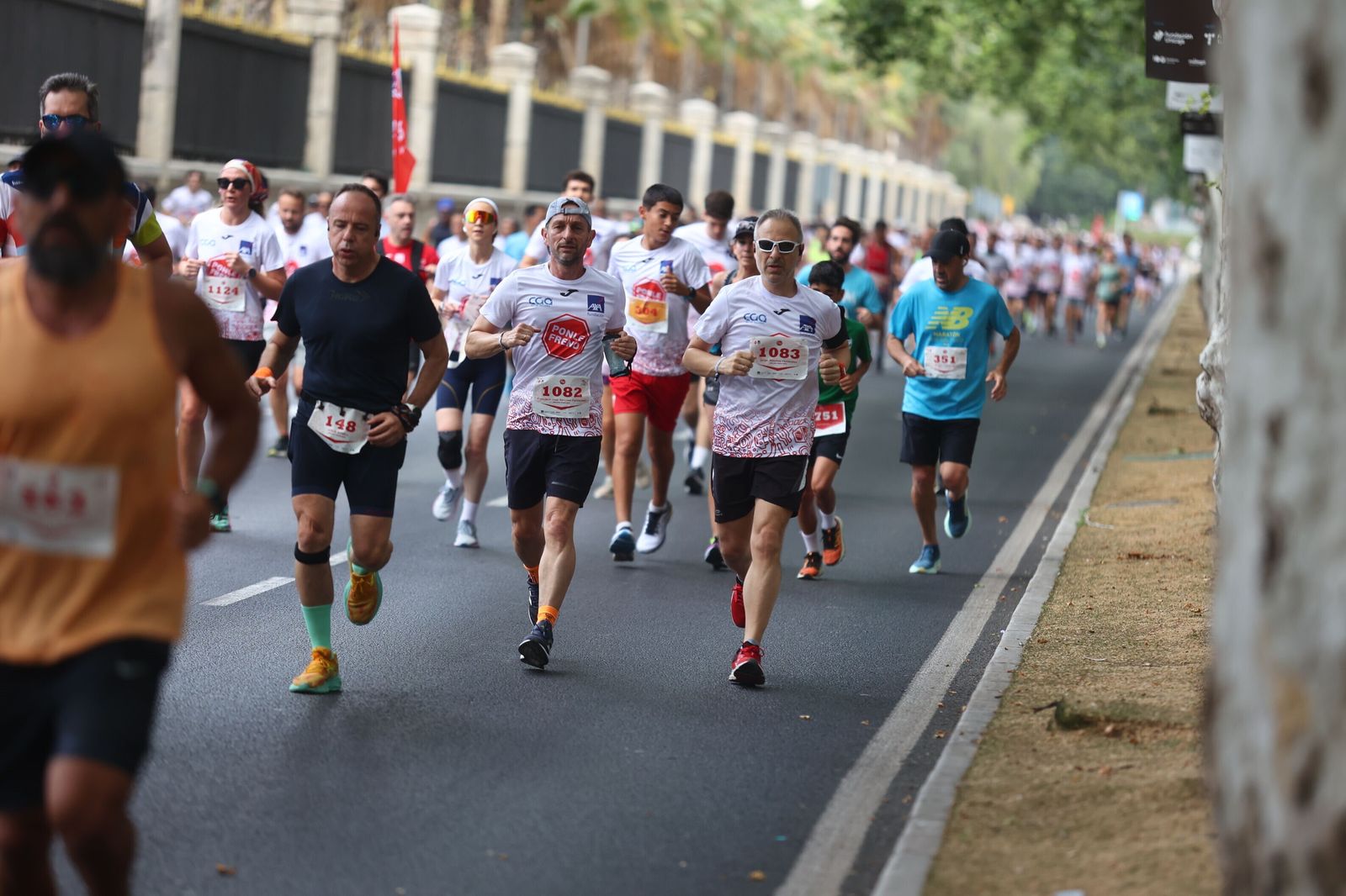 Las mejores fotos de la Carrera Ponle Freno en Málaga