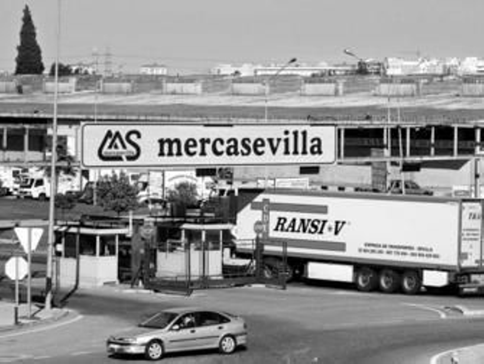 Instalaciones actuales de Mercasevilla, en la carretera de Málaga.