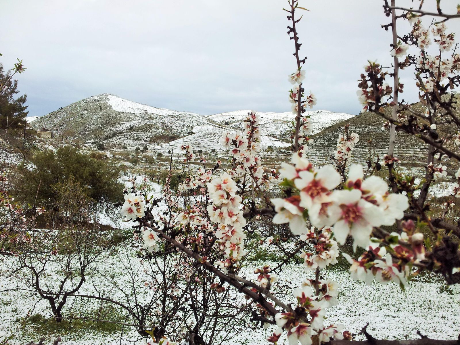 El Almanzora y Los Vélez, destinos preferidos para unas Navidades rurales