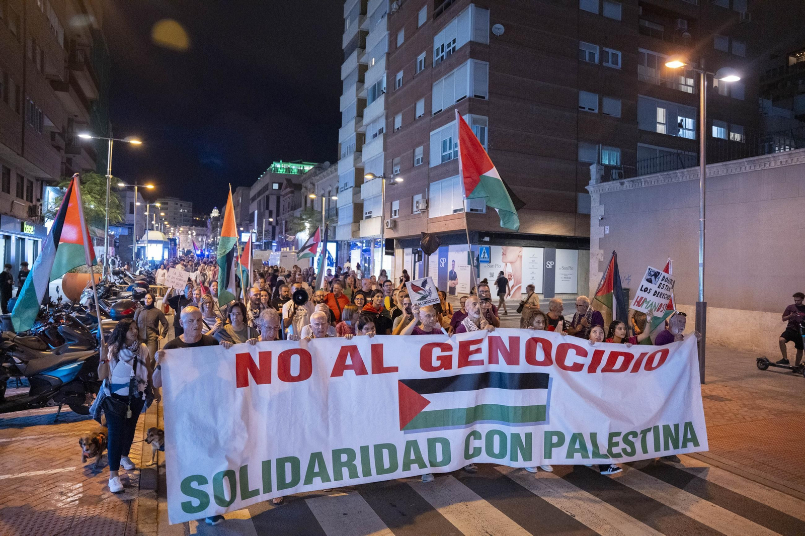 La Plataforma Almería por Palestina se manifiesta por la situación en Gaza, en imágenes