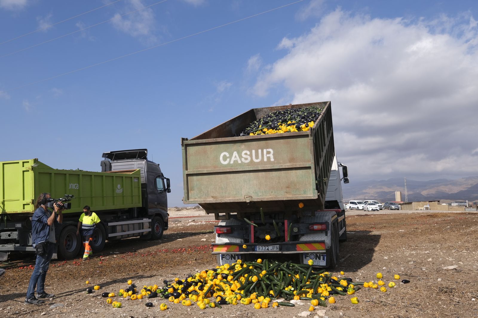 Fotogalería destrucción de pepinos en Almería