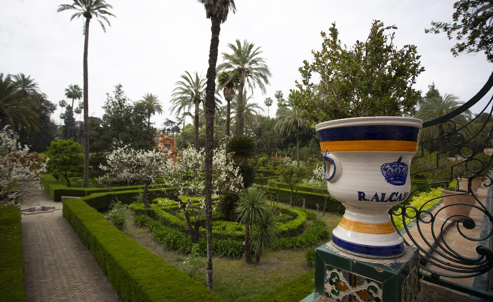 Coronavirus: Un paseo por los Reales Alcázares de Sevilla