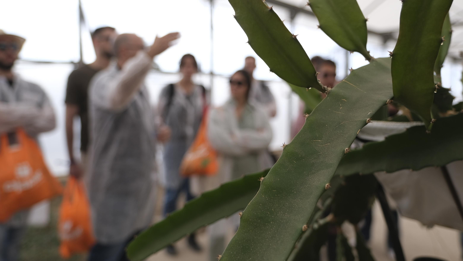 Imágenes del Foro Datagri en Las Palmerillas Cajamar