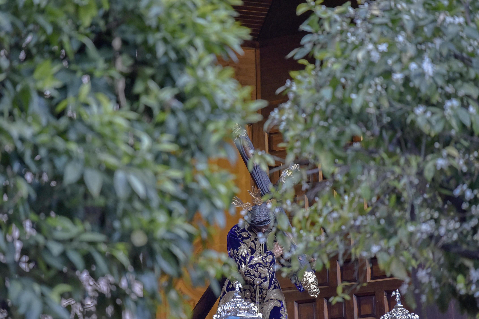 Las imágenes de Pasión