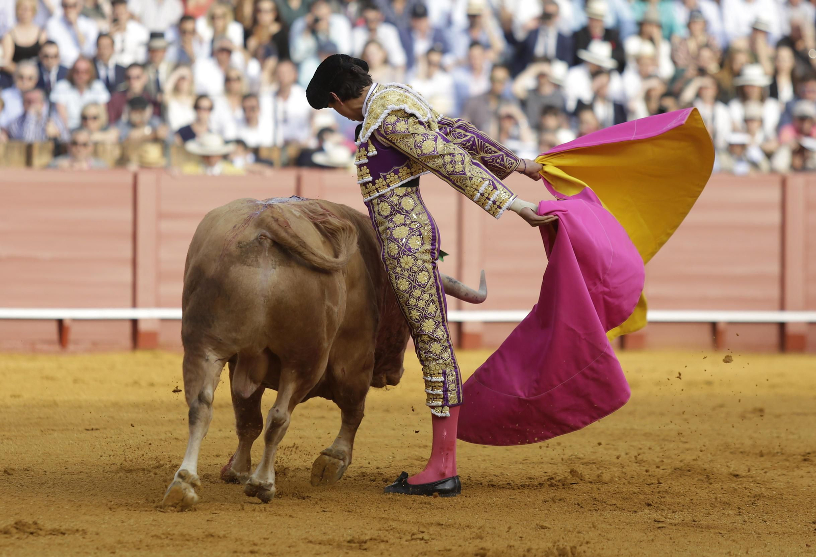 Las imágenes de la primera de abono de La Maestranza
