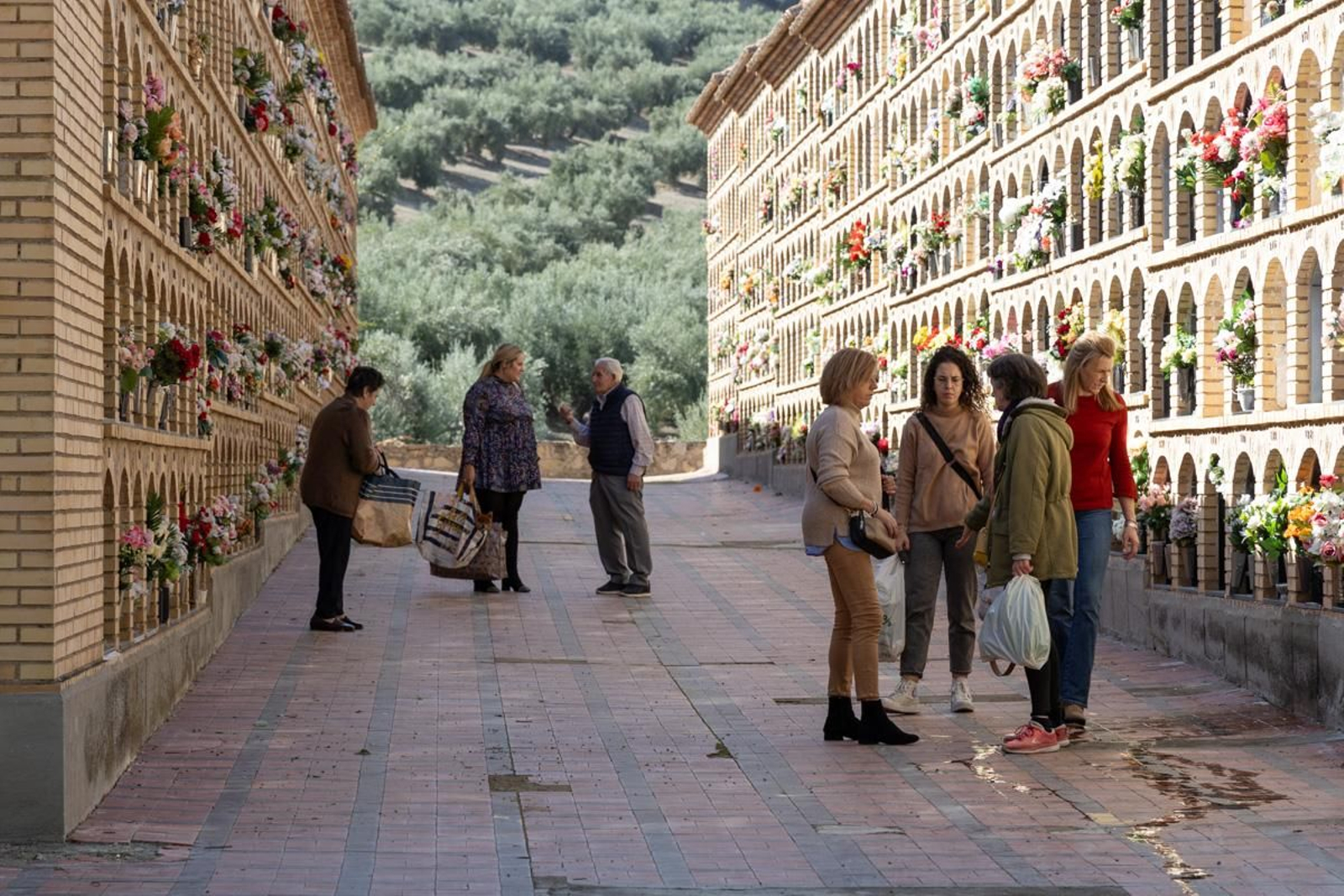 Día de Los Santos en el cementerio de San Fernando y San Eufrasio de Jaén, en imágenes