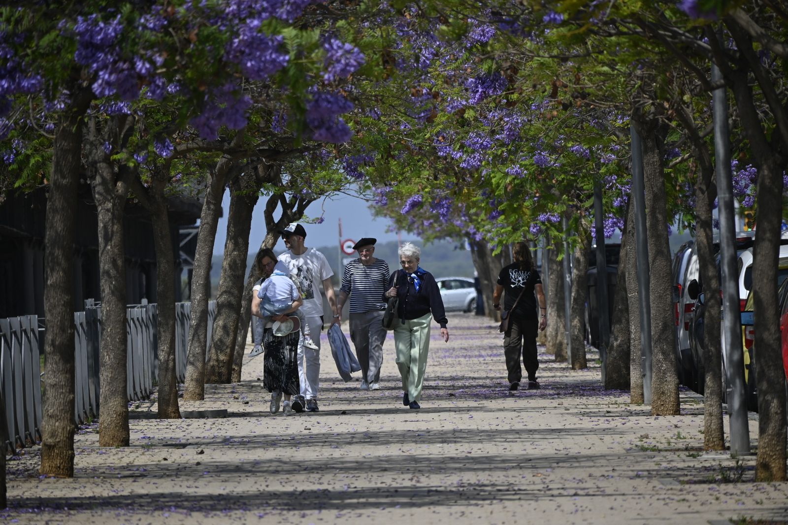Imágenes del viernes 26 de mayo