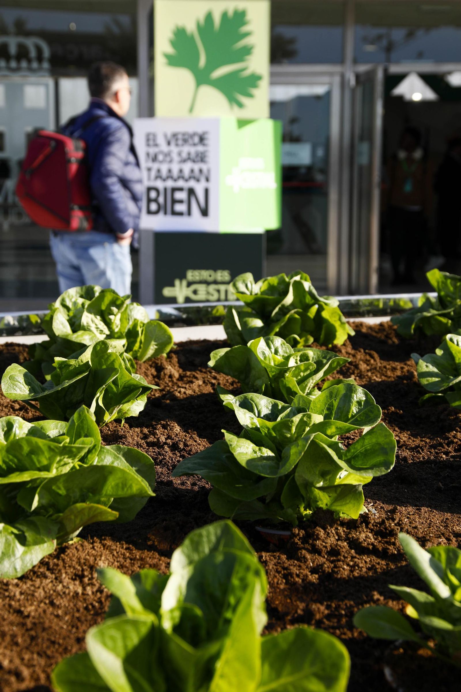 Imágenes de la inauguración de Vestial 20205 en el Palacio del Toyo