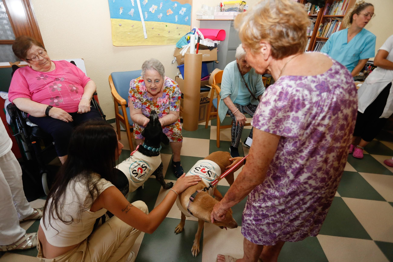 La visita de los perros de la protectora de Los Barrios a la residencia de mayores, en imágenes
