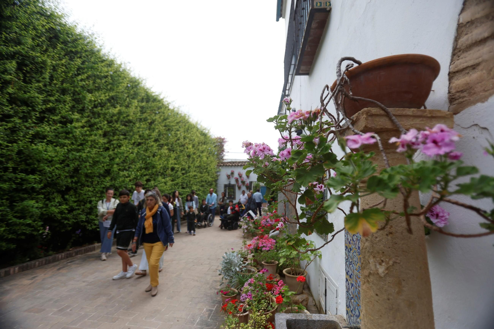 Los Patios del Palacio de Viana, en imágenes
