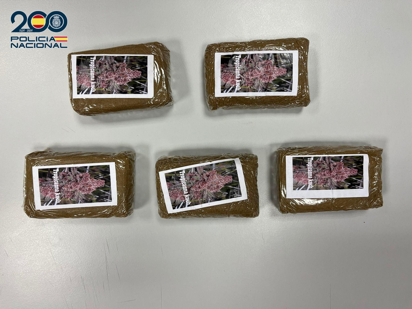 Hachís incautado por la Policía Nacional.