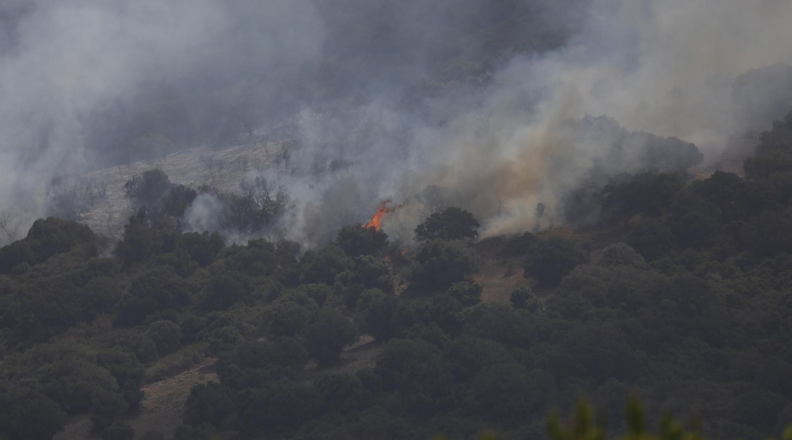 Las fotos del incendio entre La Marchenilla y Pelayo en Algeciras