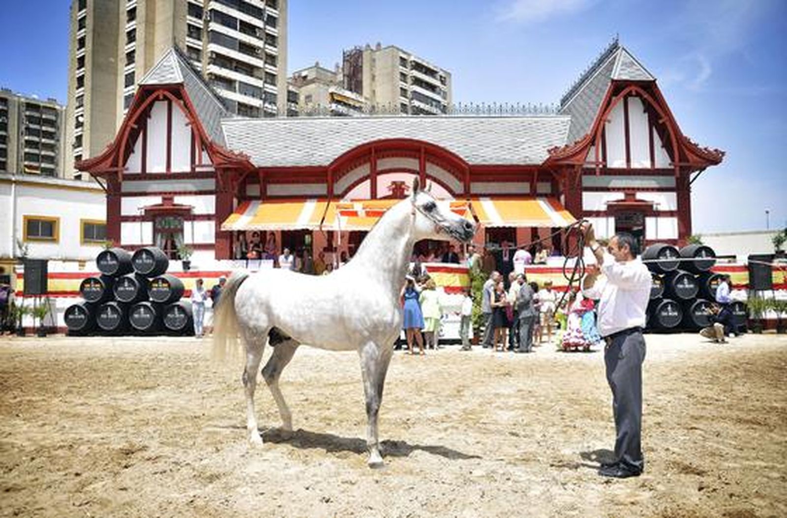 Bonita estampa del Campeón de Campeones delante del edificio de estilo ingles que es emblema del Depósito de Sementales.

Foto: Manu García