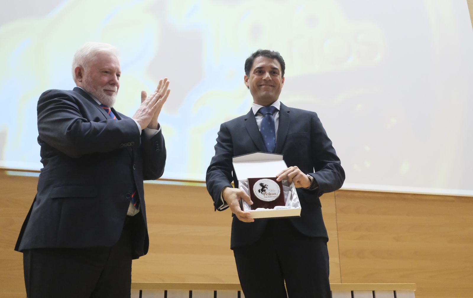 La entrega de medallas extraordinarias de las Peñas de Córdoba, en fotografías