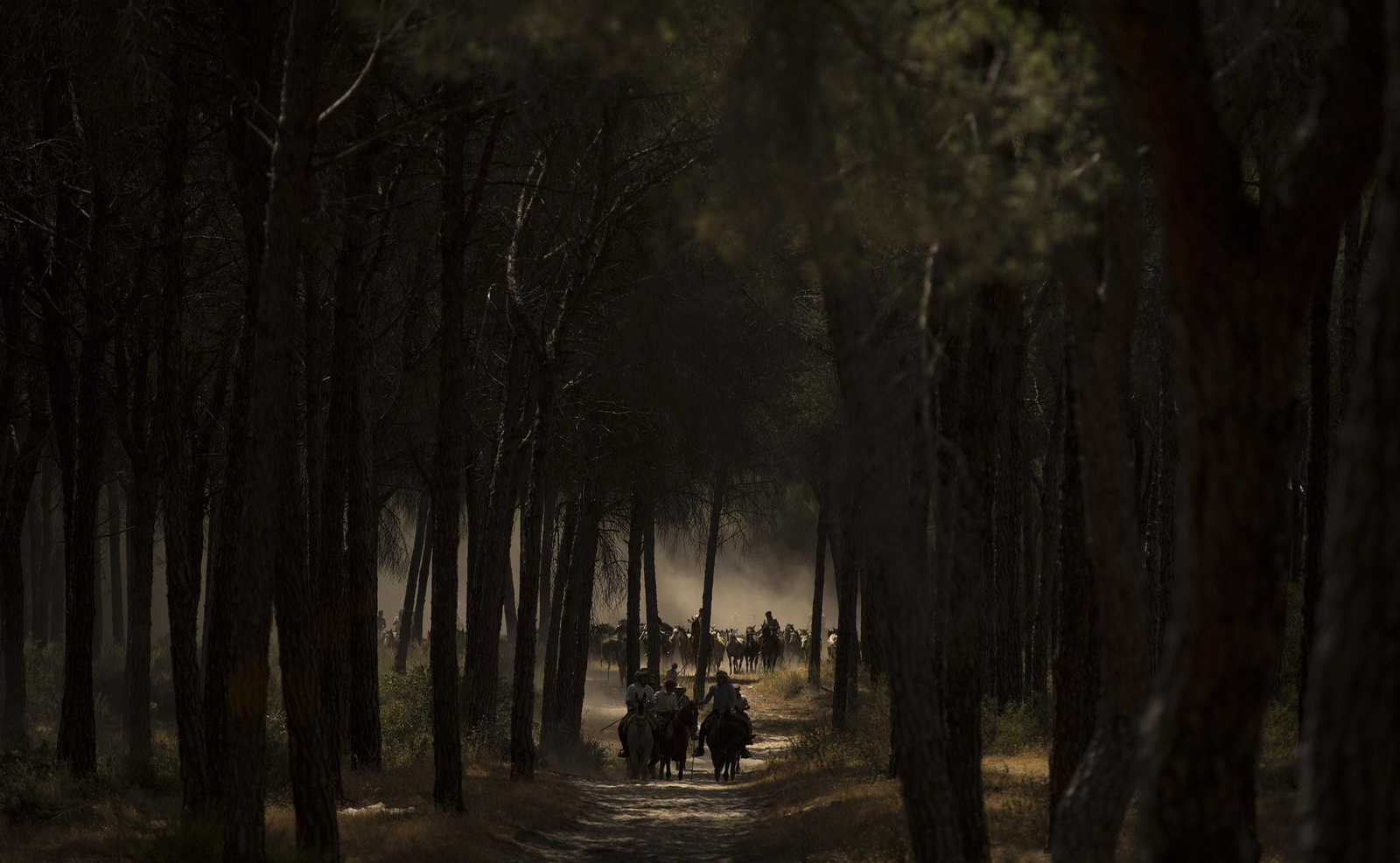 La Saca de las Yeguas, en imágenes