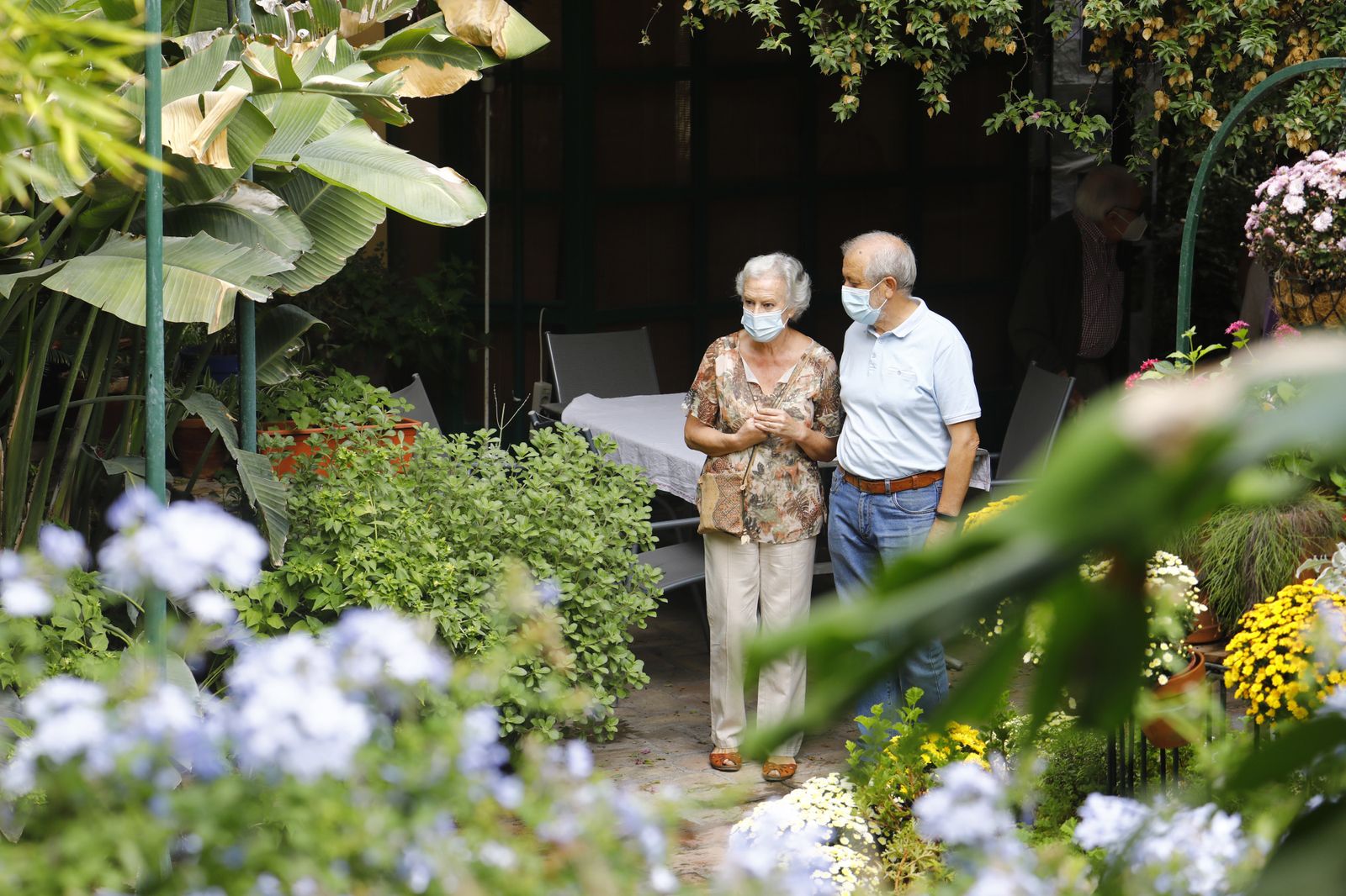 Un recorrido en fotografías por los Patios de Córdoba un domingo de otoño