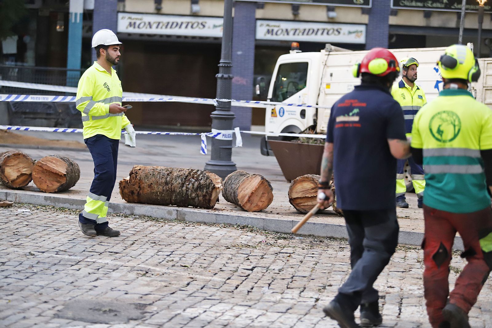 Imágenes de la tala de la emblemática Palmera de Huelva