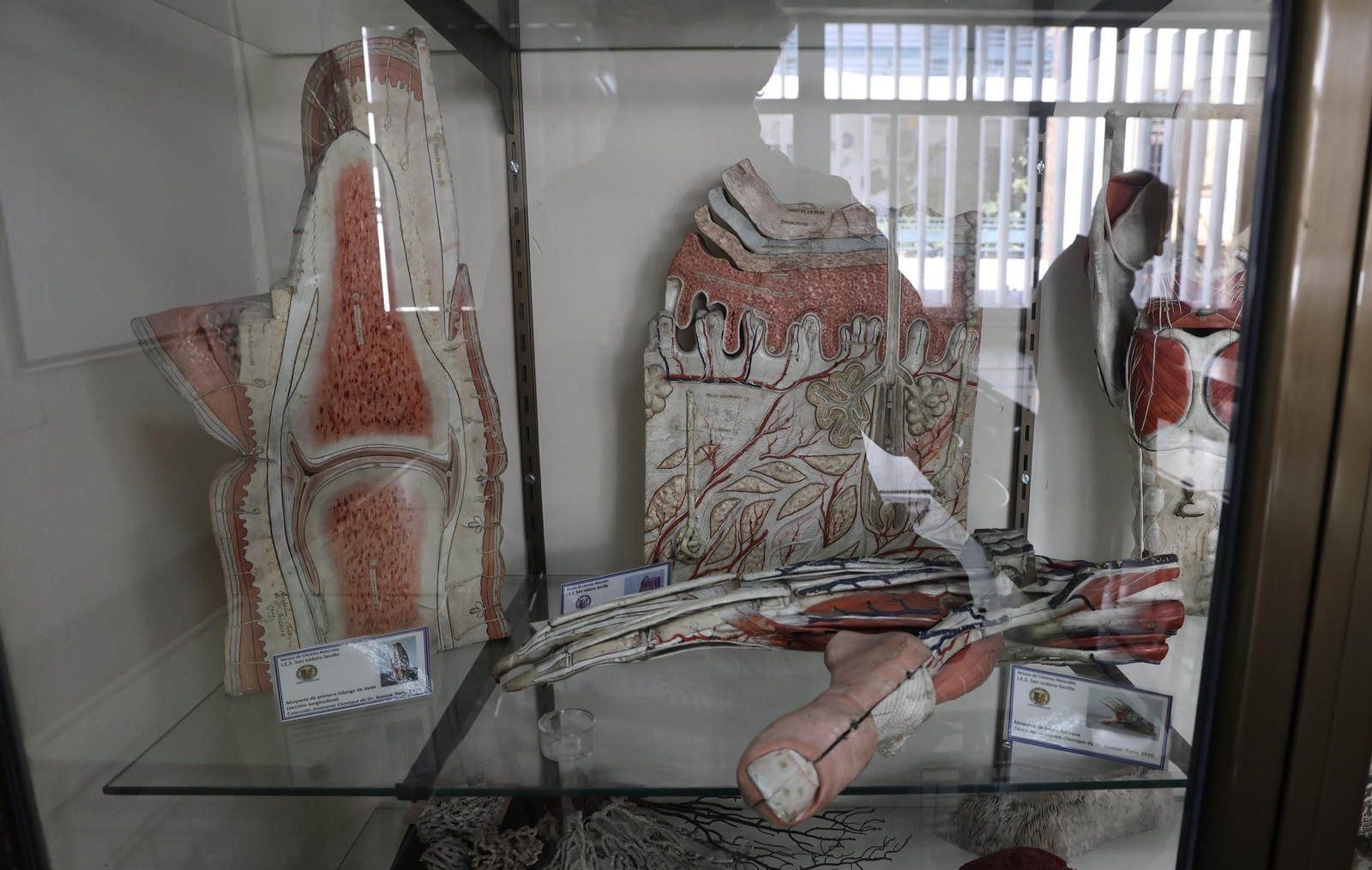 Museo del IES San Isidoro de Sevilla