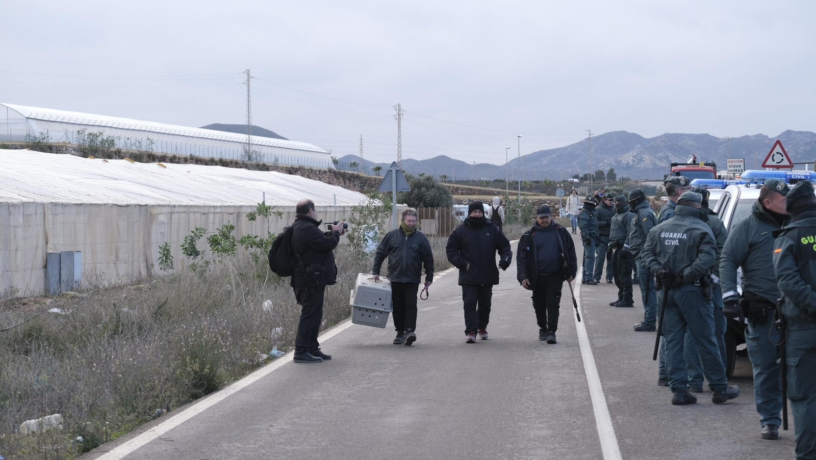 Imágenes del desalojo del asentamiento chabolista 'El Walili', en Níjar