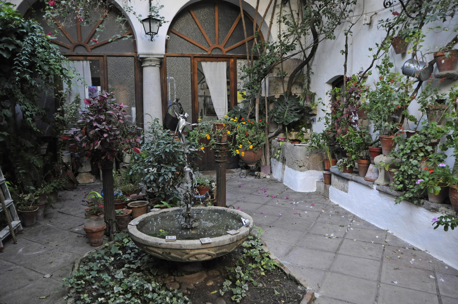 Los Patios de Córdoba se acicalan para su apertura en otoño, en fotografías