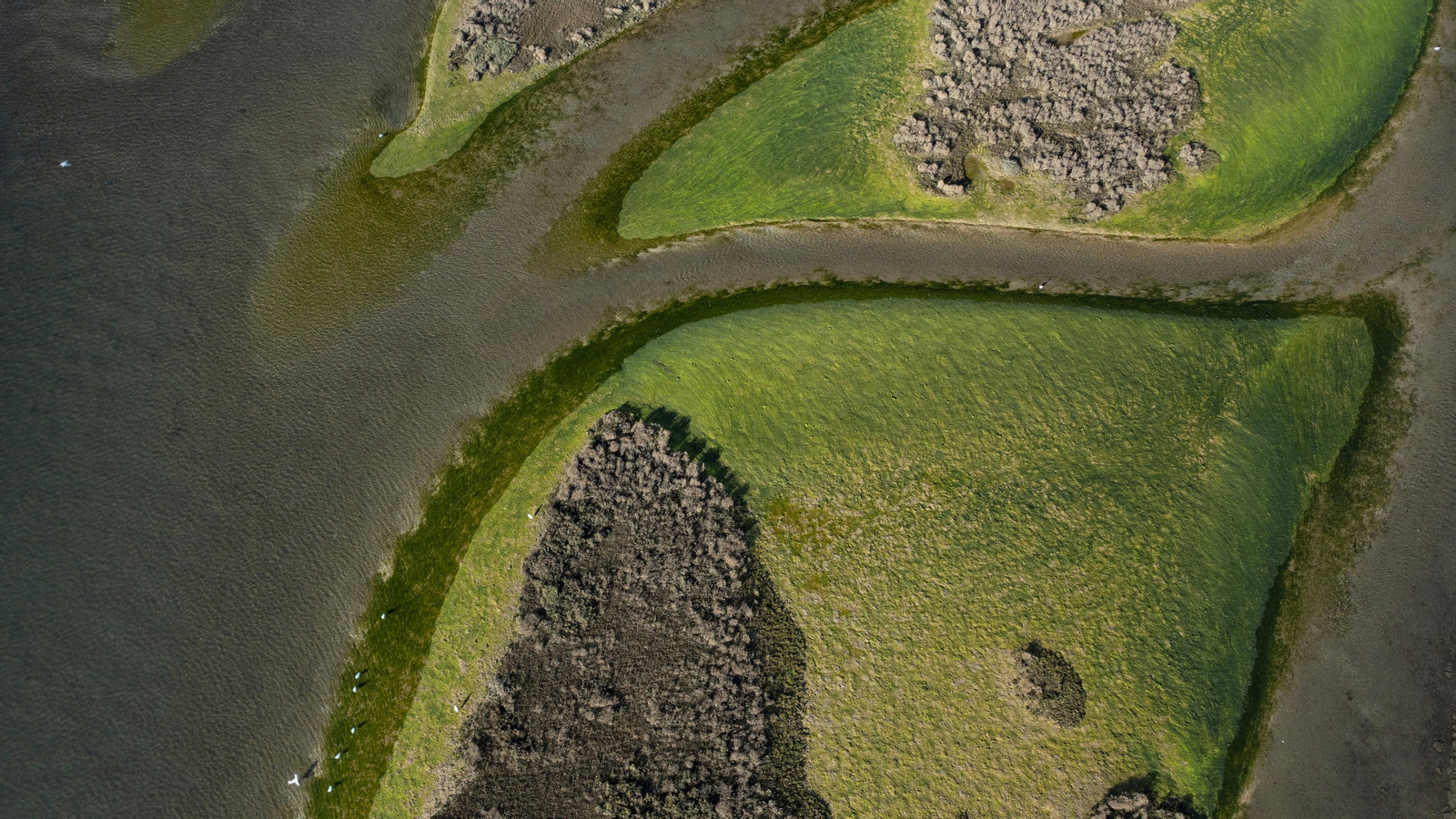 Día Mundial de Agua 2022