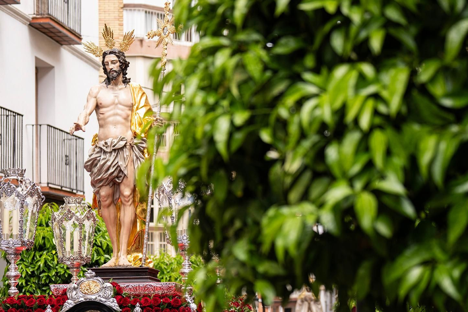El Domingo de Ramos en Lucena, en imágenes