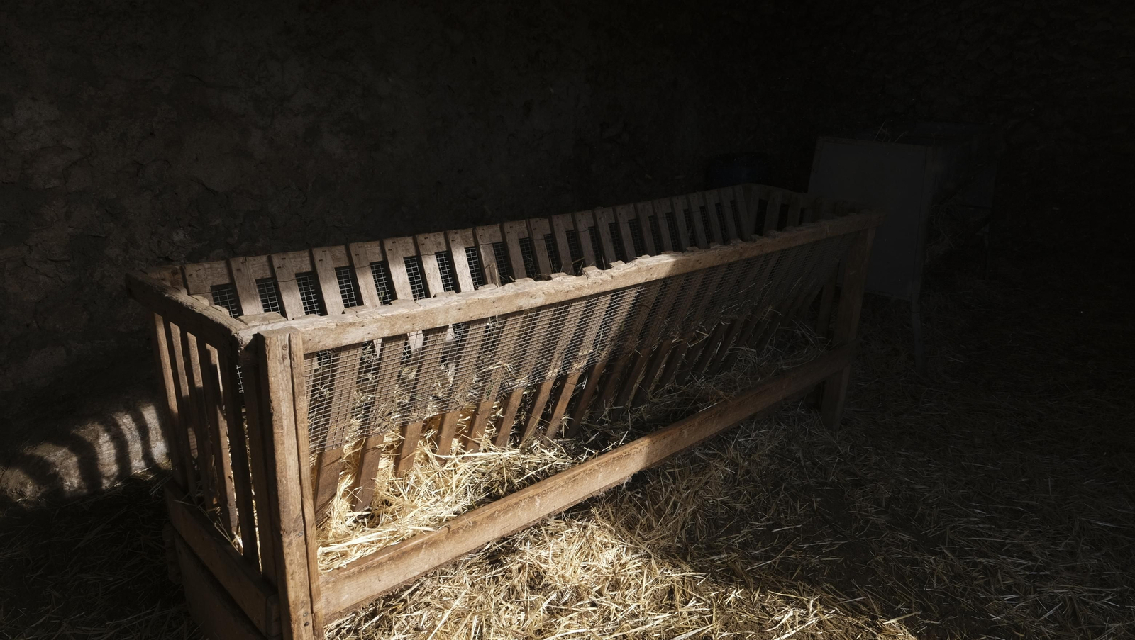 Fotogalería de la ganadería tradicional de Vélez Rubio, las imágenes más tiernas de los corderos recién nacidos
