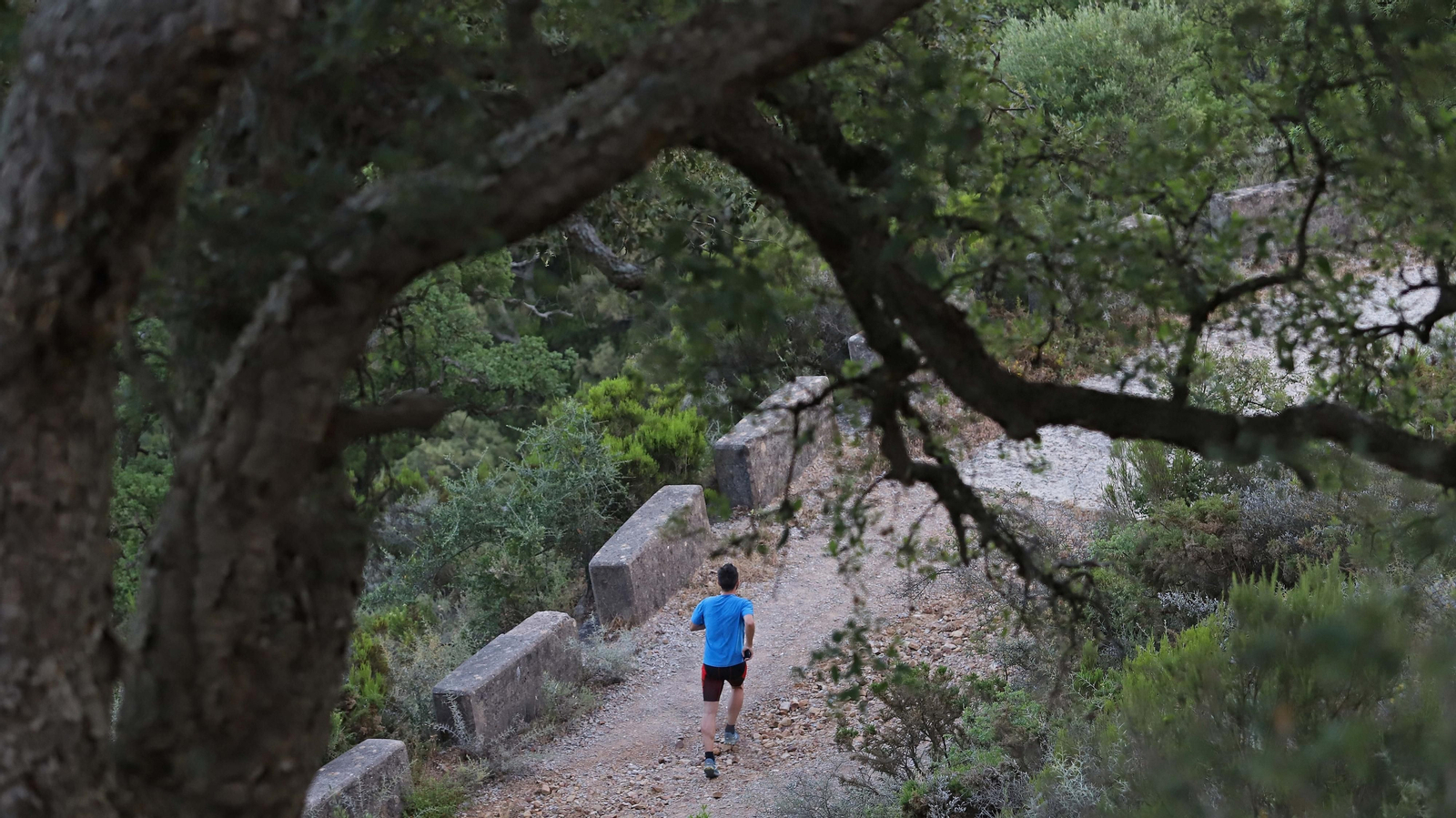 Las mejores fotos de la Senda de los Prisioneros en Algeciras