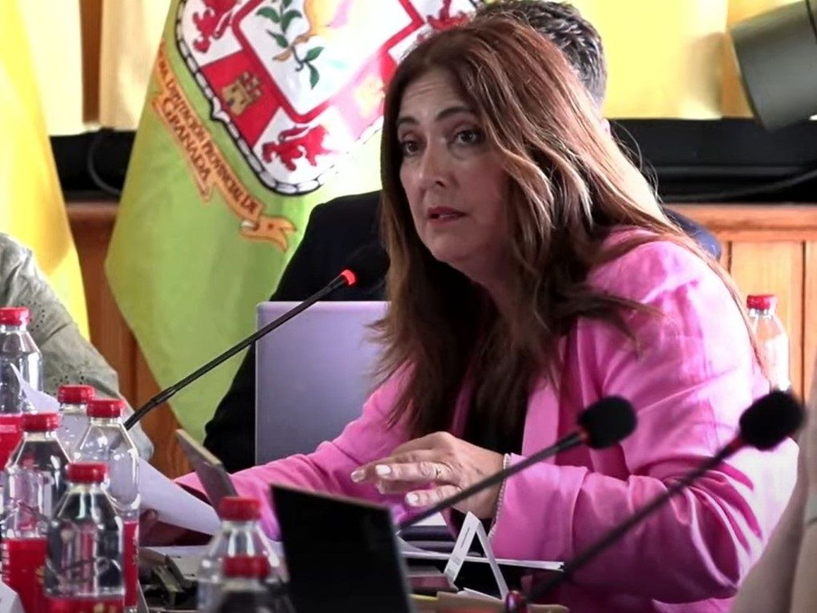 La diputada socialista Remedios Gámez