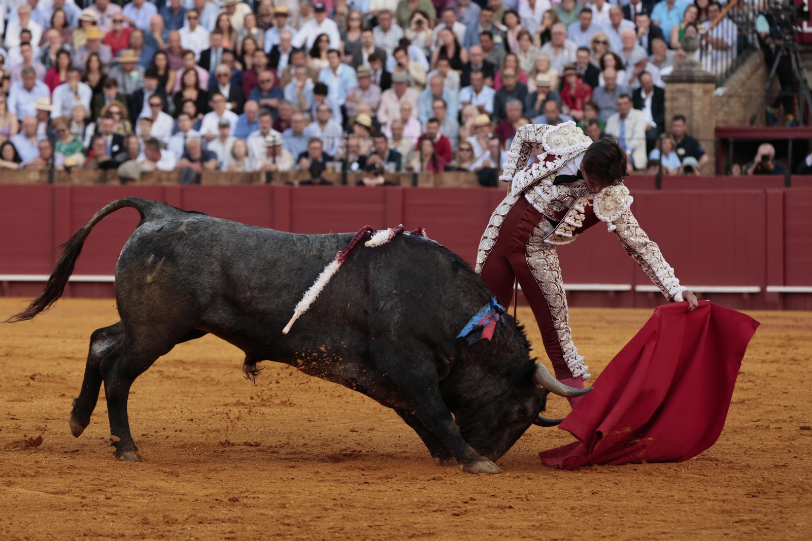 Las imágenes del festejo