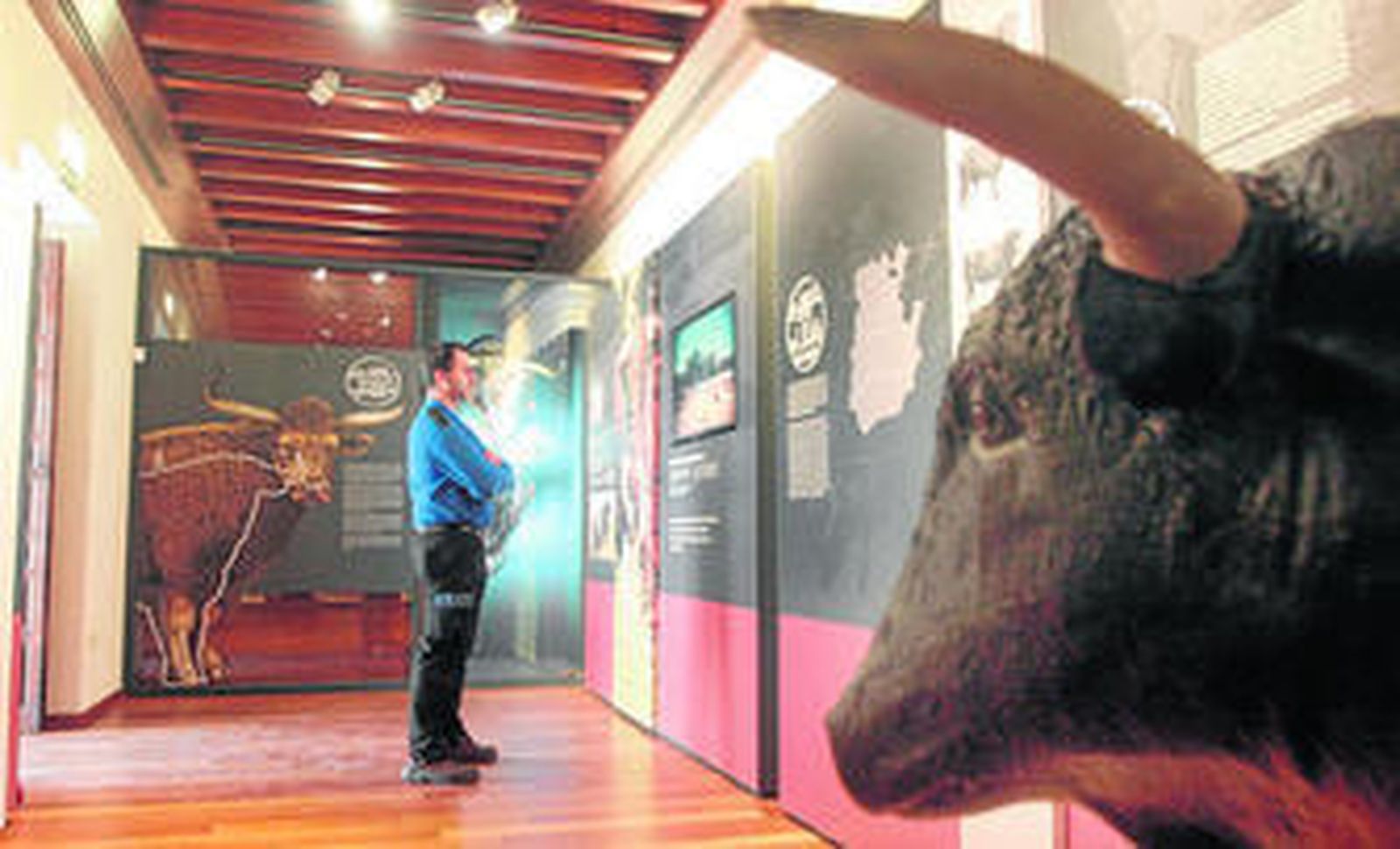 Córdoba recupera su Museo Taurino