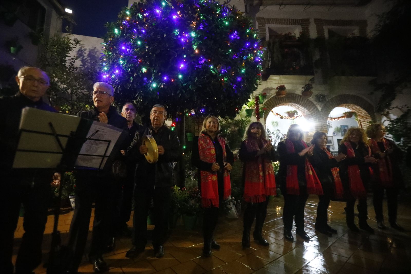 Los Patios de Córdoba abren por Navidad, en imágenes