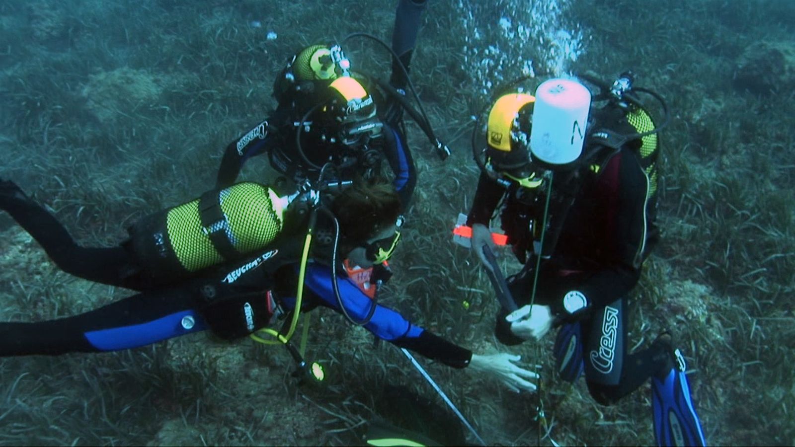 Unas actividades englobadas en el Programa de Participación y Sensibilización Ambiental de la Red Natura 2000.
