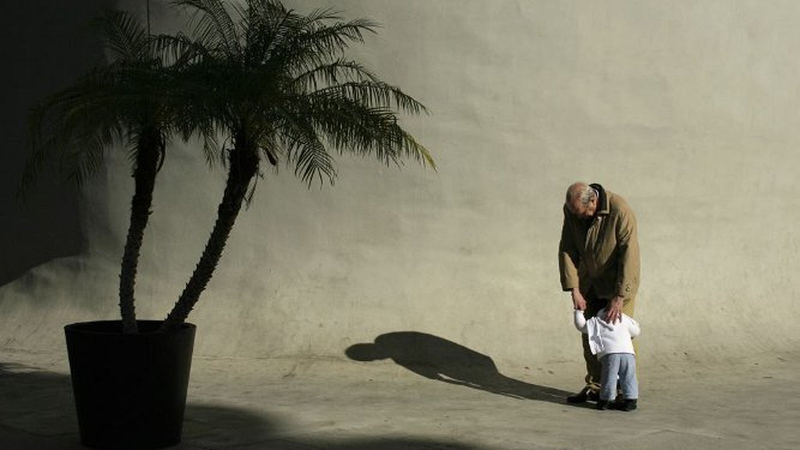 Los sentimientos más puros son reflejos que brotan desde el corazón.