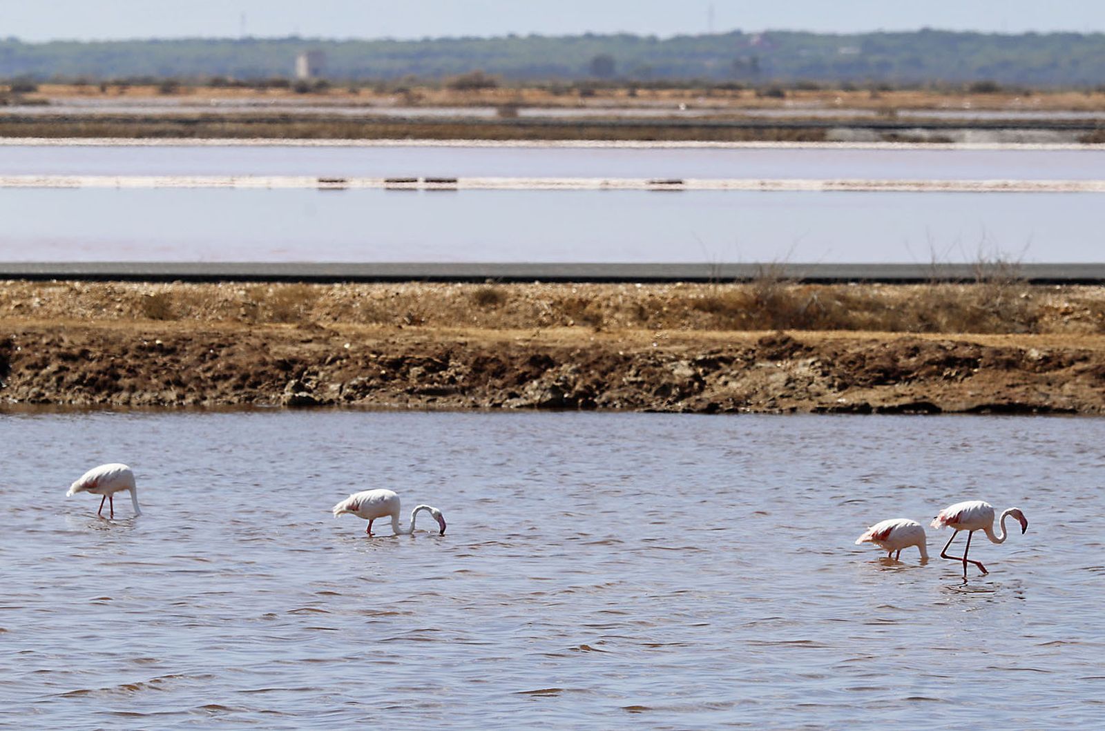 Las imágenes más destacadas del domingo 10 de septiembre en Huelva