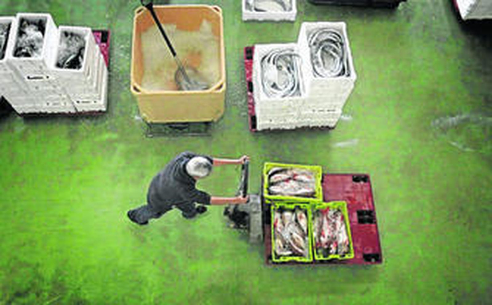 La lonja de Tarifa, donde el voraz facturó 2,5 millones de euros, prácticamente el 80% del total de las ventas en esas dependencias.