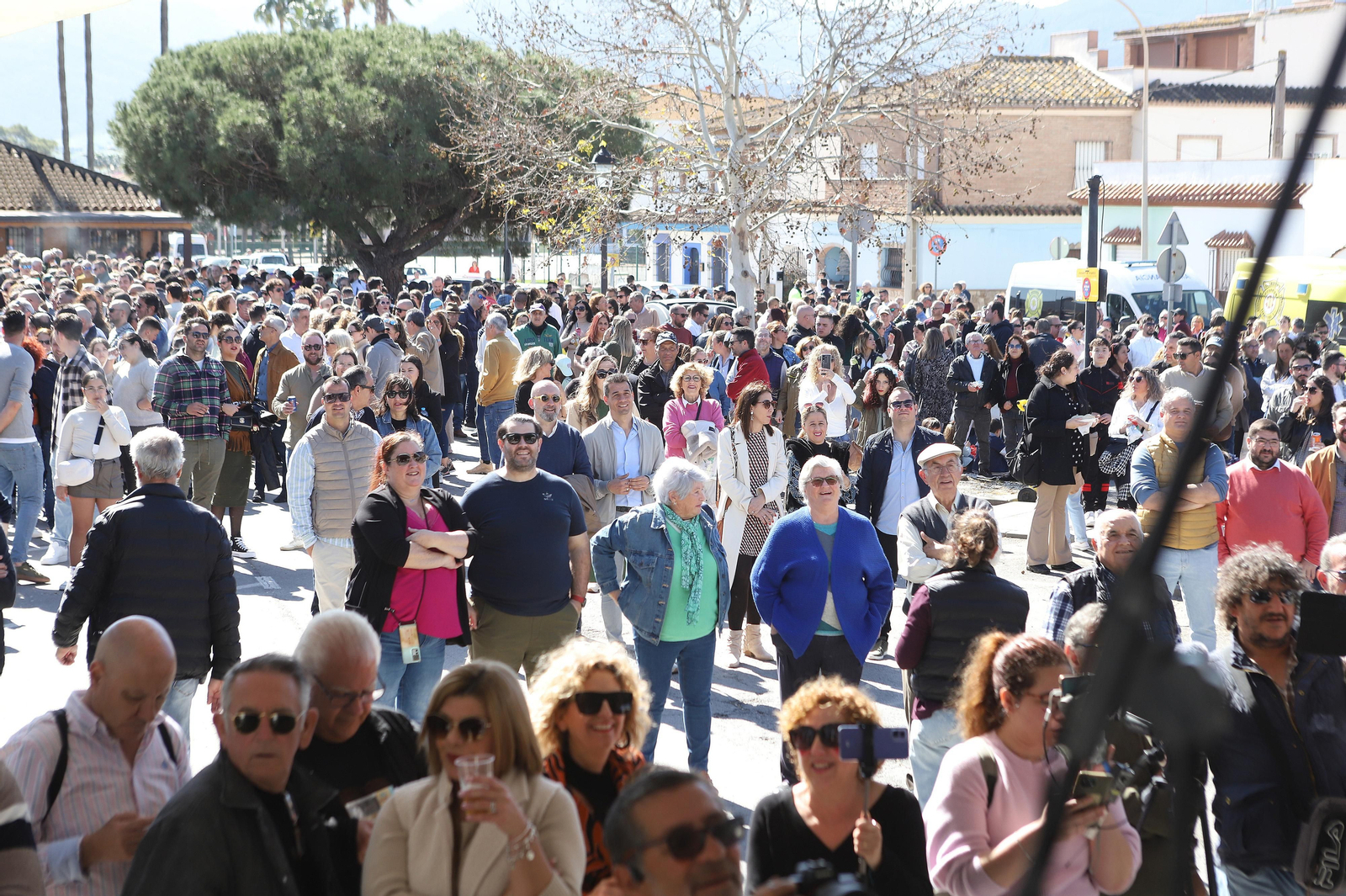 Fotos Tagarninada del Carnaval de Los Barrios.