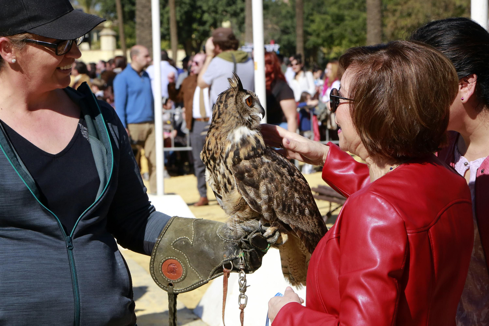Imágenes de San Antón 2020 en Jerez