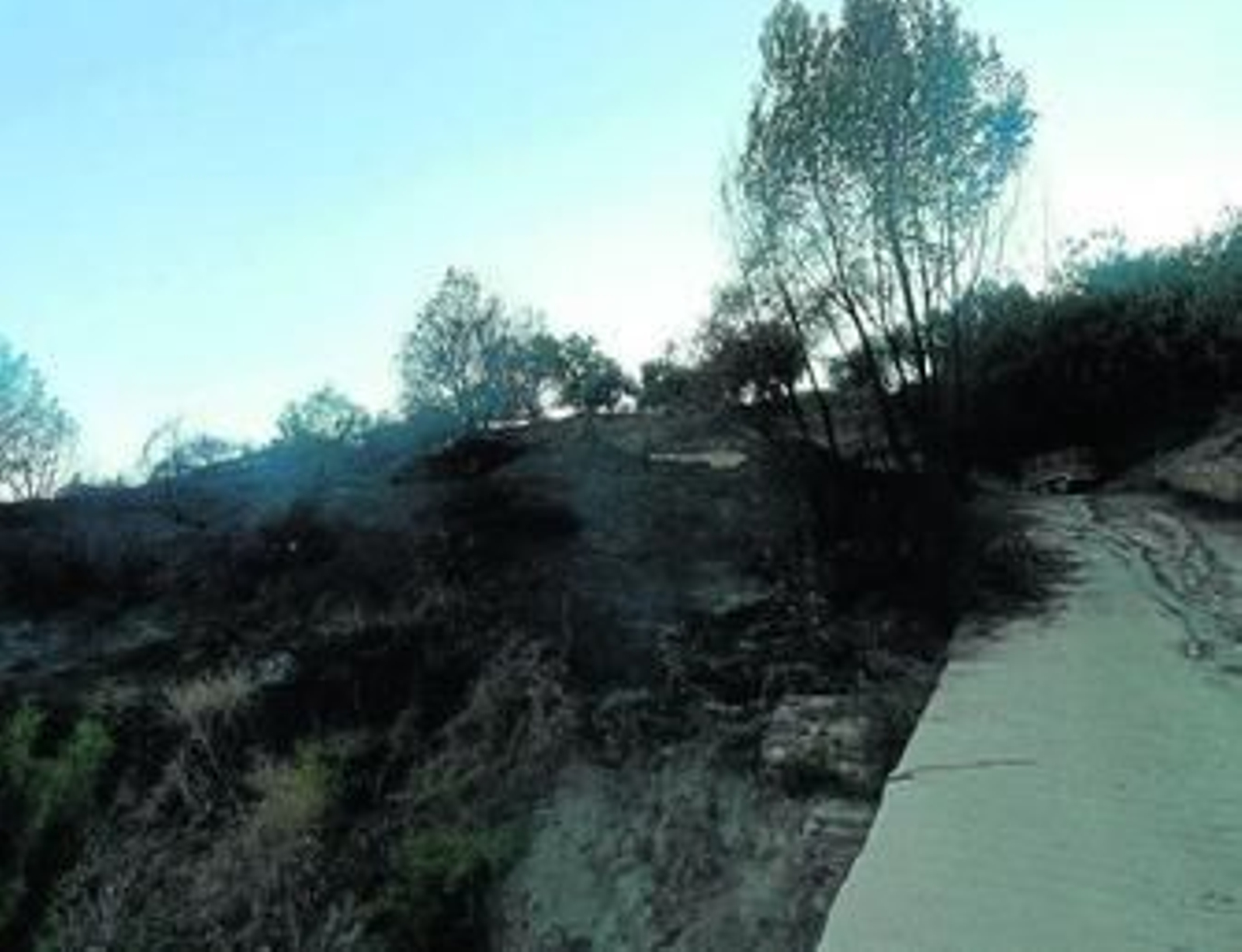 El fuego se originó en un campo de olivos entre los términos municipales de Válor y Mecina Alfahar.