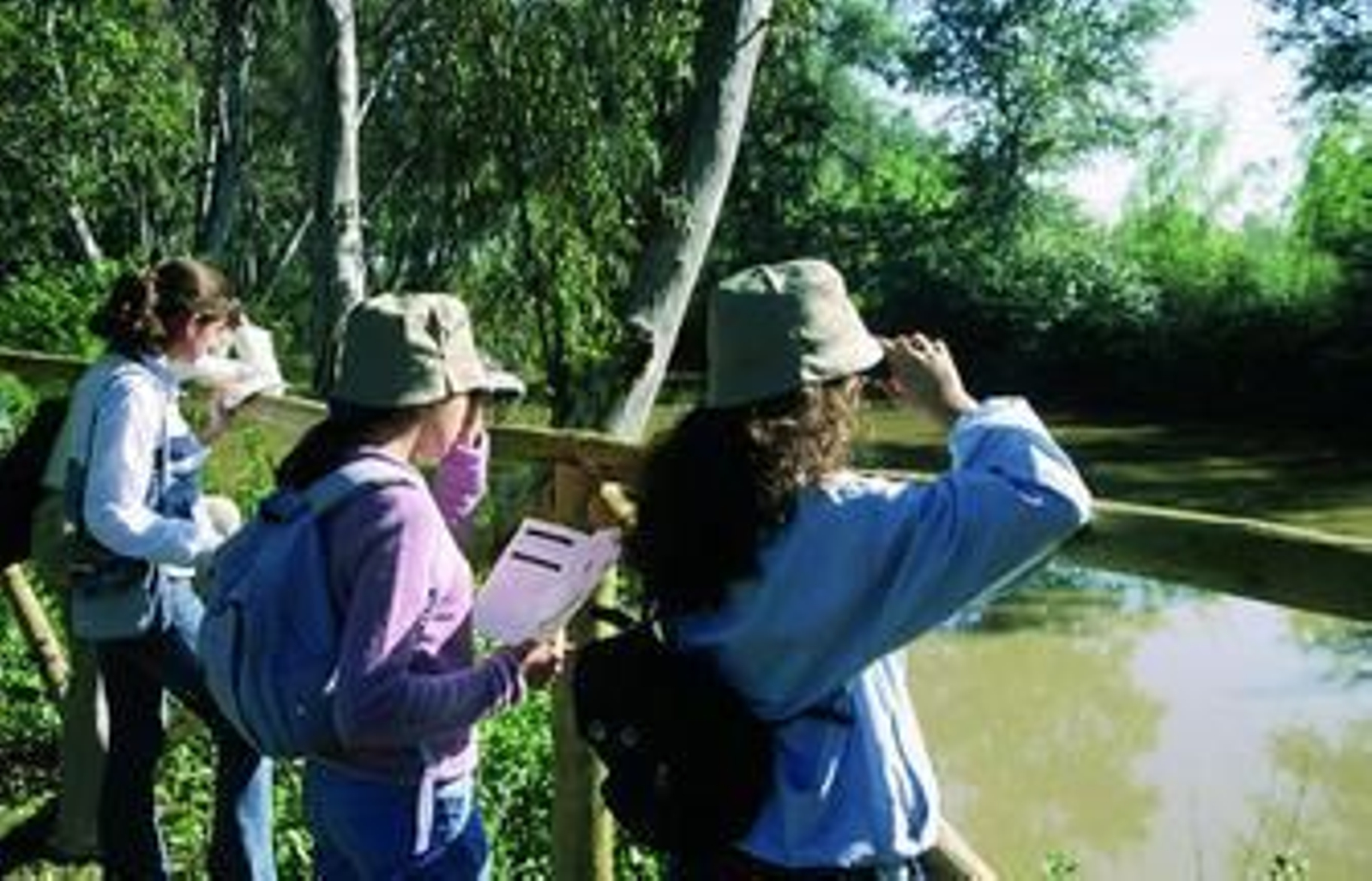 Durante la ruta por el corredor se pueden avistar multitud de aves.