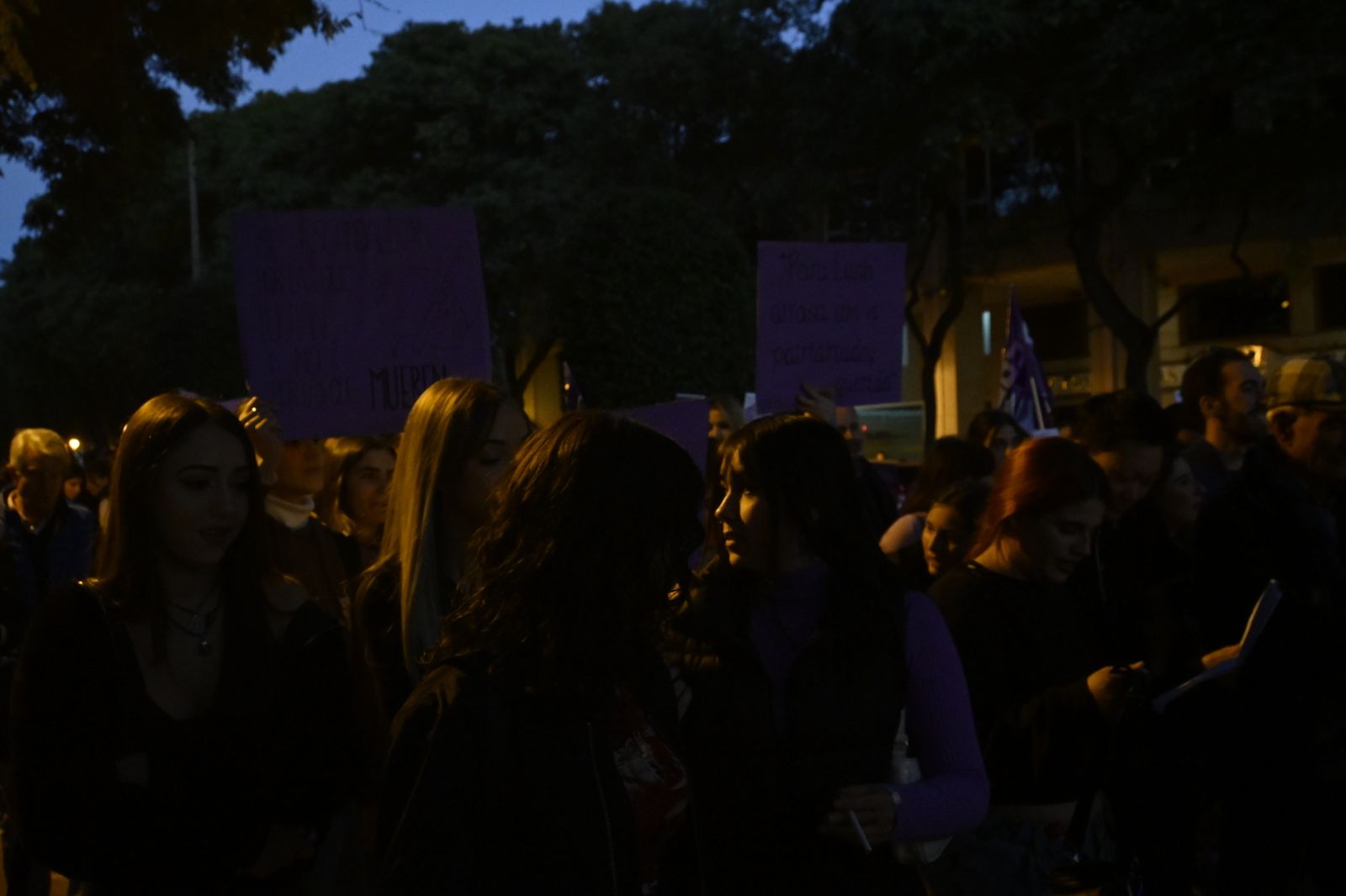 Manifestación del 25N en Imágenes.