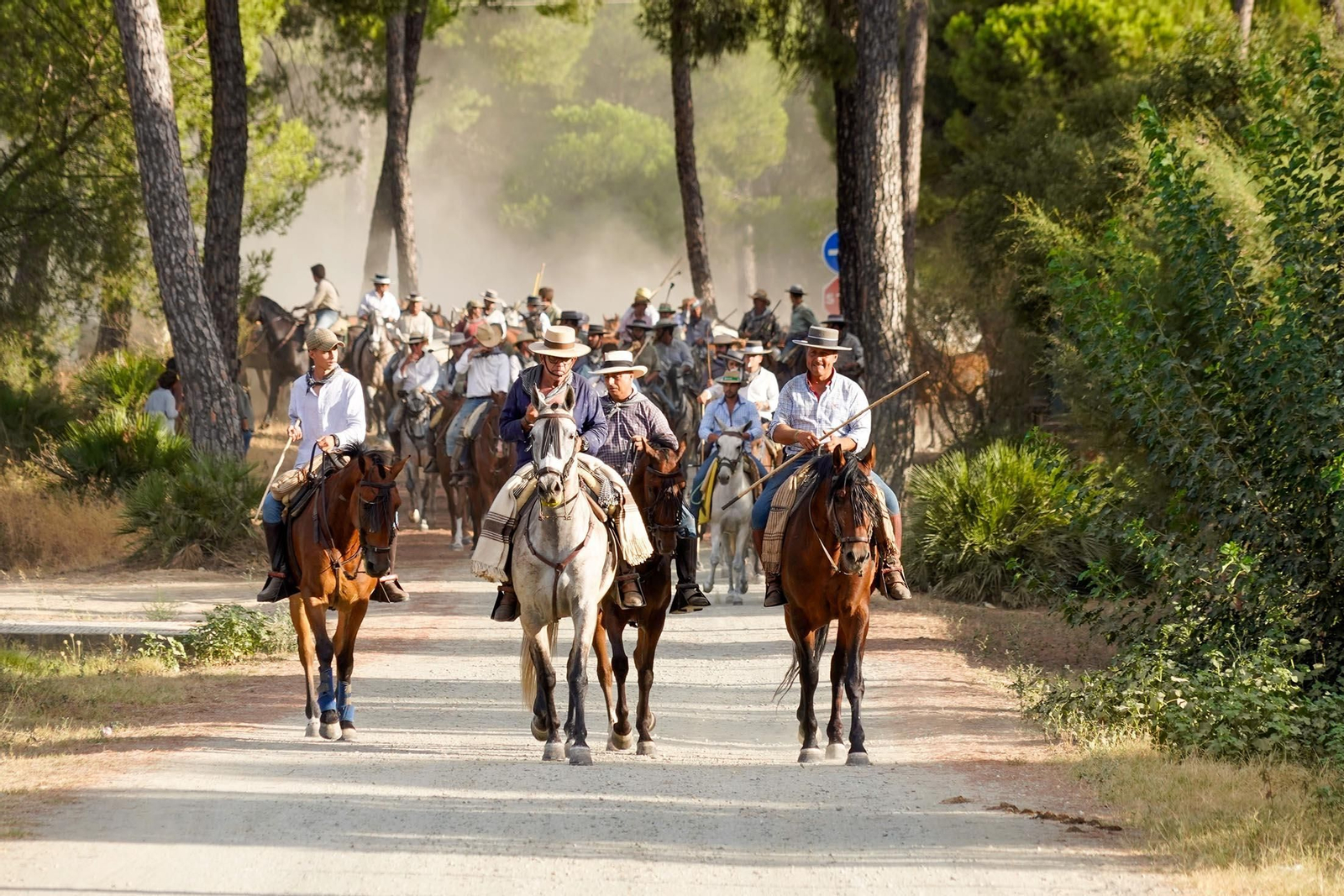 Las imágenes más destacas de la recogida de las yeguas en Hinojos