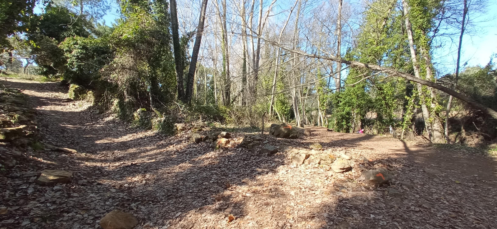 Las imágenes de la ruta de la cascada de Jollarancos y bosque de las letras